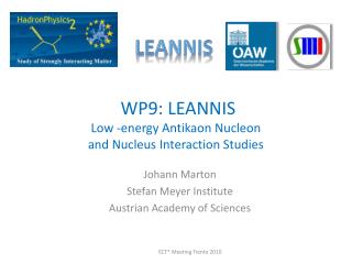 WP9: LEANNIS Low -energy Antikaon Nucleon and Nucleus Interaction Studies