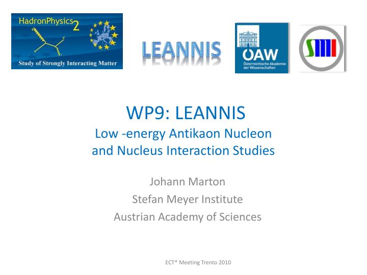 wp9 leannis low energy antikaon nucleon and nucleus interaction studies