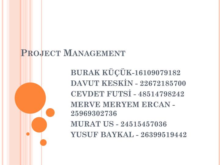 project management