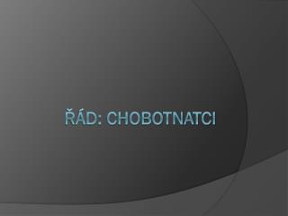 d chobotnatci