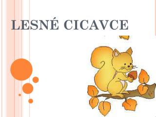 lesn cicavce