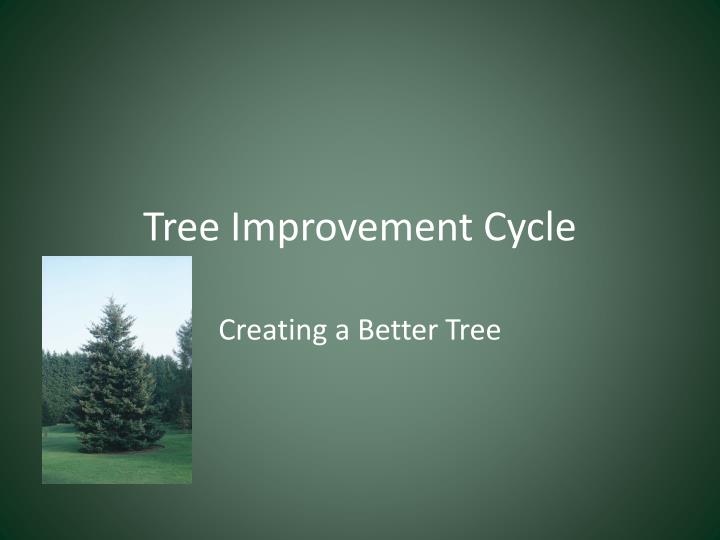 tree improvement cycle