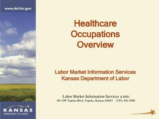 Labor Market Information Services (LMIS)