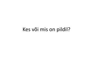kes v i mis on pildil