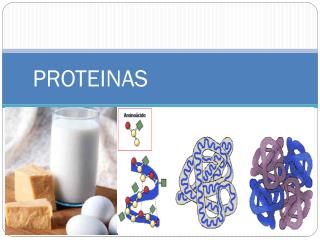 proteinas