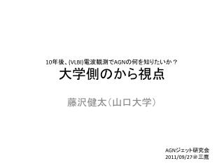 10 vlbi agn