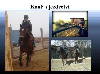 Koně a jezdectví