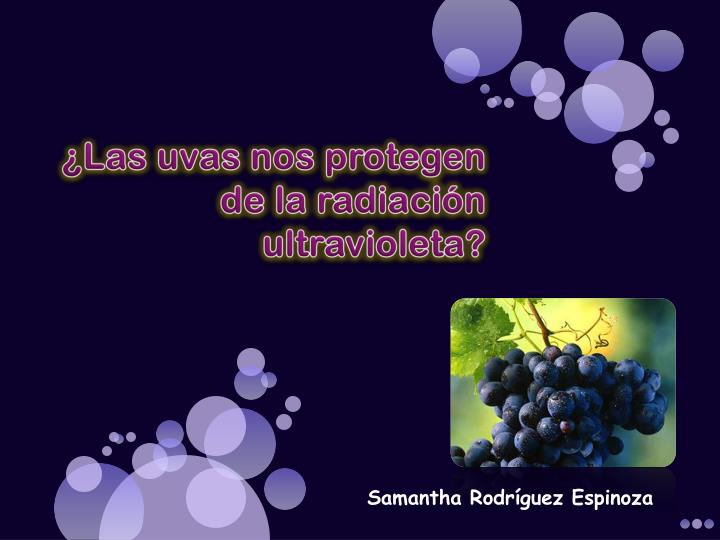las uvas nos protegen de la radiaci n ultravioleta