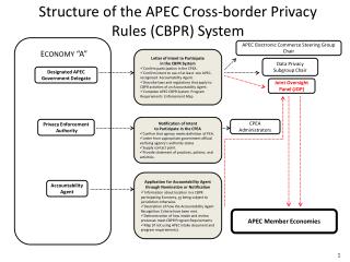 APEC Electronic Commerce Steering Group Chair