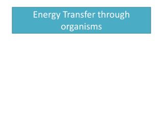 Energy Transfer through organisms