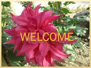 WELCOME