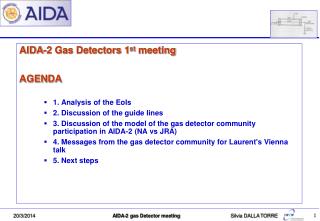 AIDA-2 Gas Detectors 1 st meeting AGENDA 1. Analysis of the EoIs
