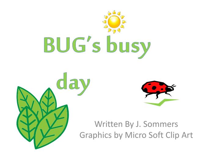 bug s busy day