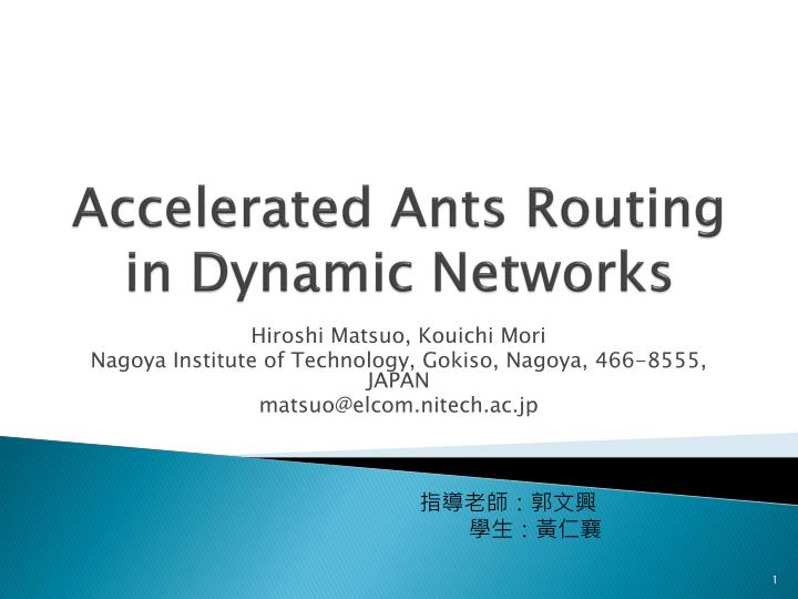 accelerated ants routing in dynamic networks