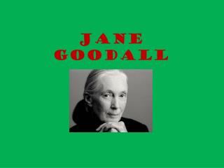 jane goodall