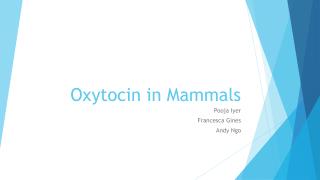 Oxytocin in Mammals