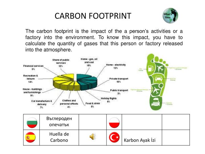 carbon footprint