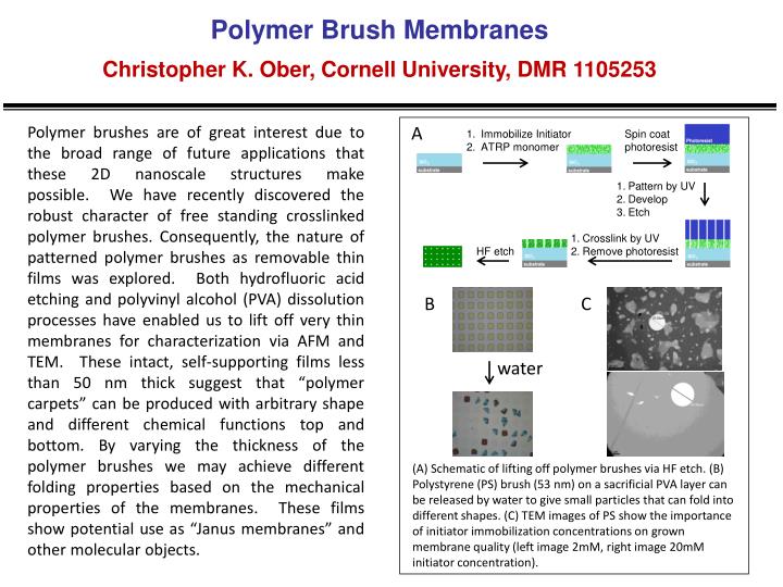 polymer brush membranes christopher k ober cornell university dmr 1105253