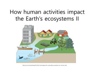 How human activities impact the Earth's ecosystems II