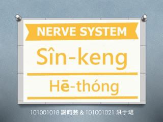 101001018 101001021
