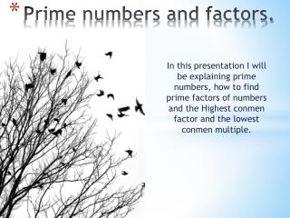 Prime numbers and factors.