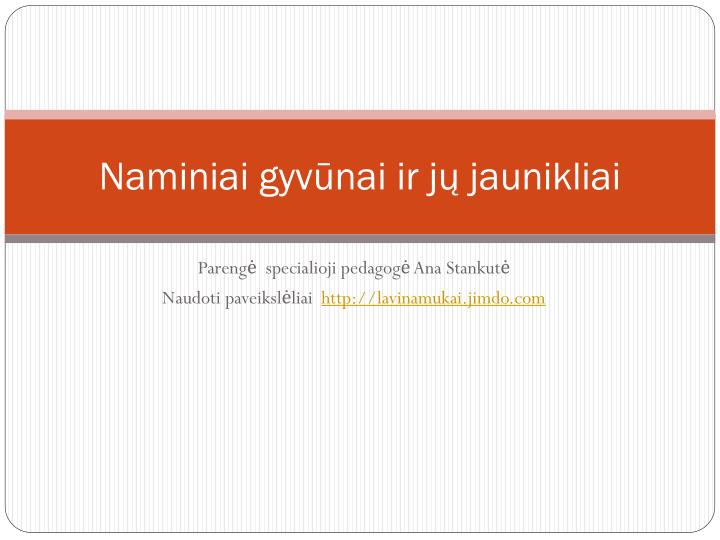 naminiai gyv nai ir j jaunikliai