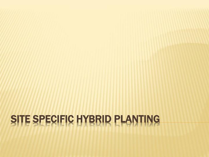 site specific hybrid planting
