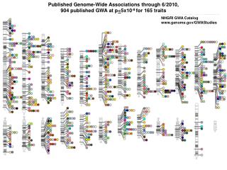 Published Genome-Wide Associations through 6/2010,