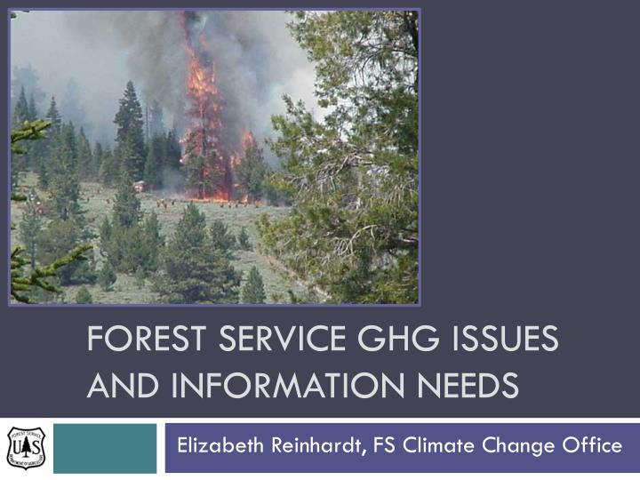 forest service ghg issues and information needs