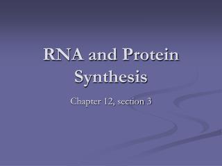 rna and protein synthesis