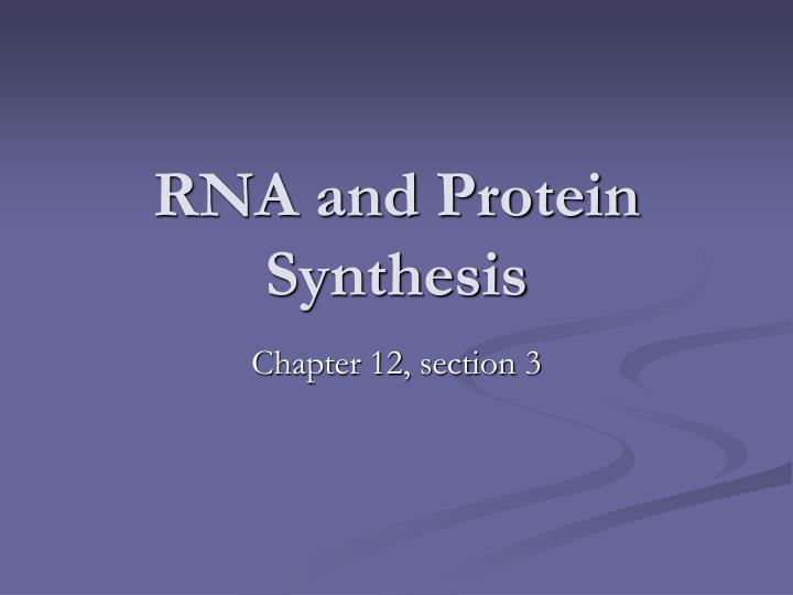 rna and protein synthesis