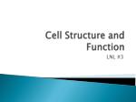 Cell Structure and Function - slide 1