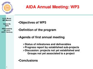 AIDA Annual Meeting: WP3