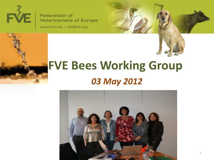 fve bees working group