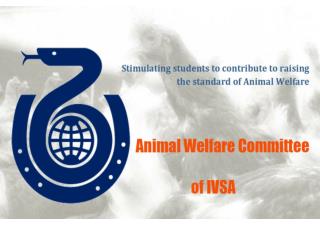 What is animal welfare?