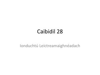 caibidil 28
