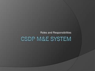 CSDP M&amp;E System
