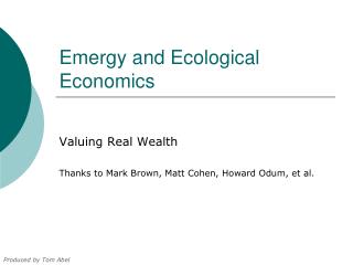 Emergy and Ecological Economics