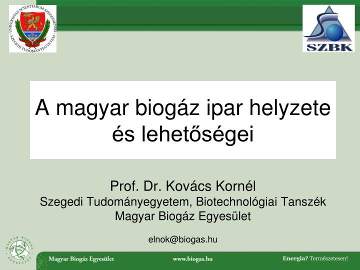 a magyar biog z ipar helyzete s lehet s gei