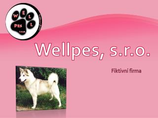 fiktivn firma