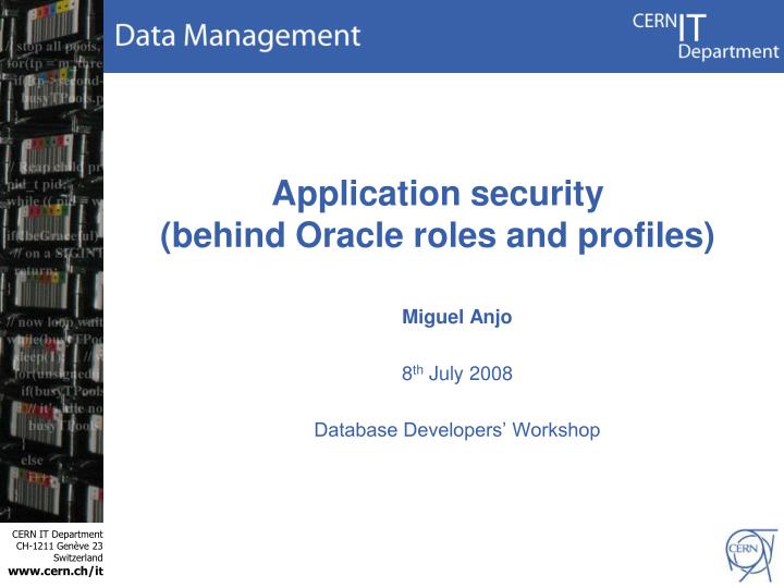 application security behind oracle roles and profiles