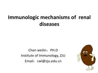 Immunologic mechanisms of renal diseases