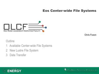 eos center wide file systems
