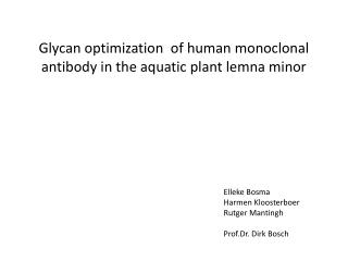 Glycan optimization of human monoclonal antibody in the aquatic plant lemna minor