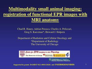 Multimodality small animal imaging: registration of functional EPR images with MRI anatomy