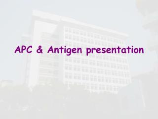 APC &amp; Antigen presentation