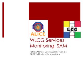 WLCG Services Monitoring: SAM