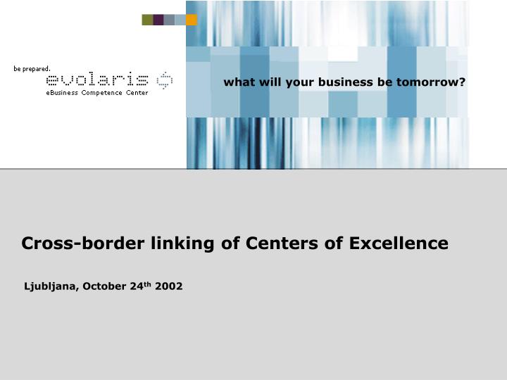 cross border linking of centers of excellence