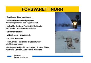 Arvidsjaur Jägarbataljonen Boden Norrbottens regemente, Artilleriregementet och regional stab