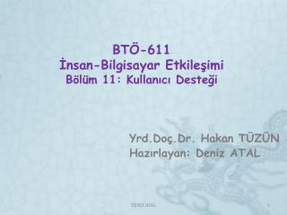 bt 611 nsan bilgisayar etkile imi b l m 11 kullan c deste i